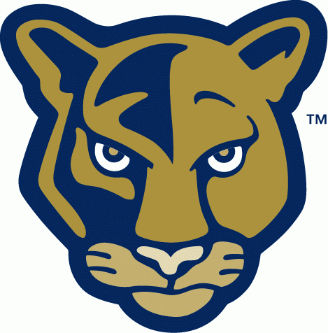 FIU Panthers 2001-2008 Alternate Logo v2 DIY iron on transfer (heat transfer)